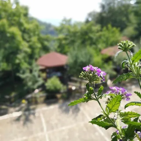Ξενοδοχείο King Park Resort