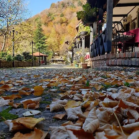 King Park Resort 4* Τίρανα